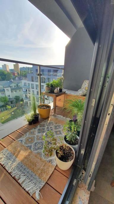 Apartment In City Center Пжемысл Экстерьер фото