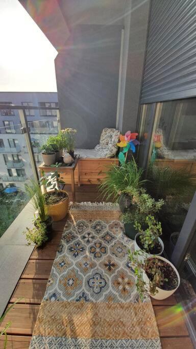 Apartment In City Center Пжемысл Экстерьер фото